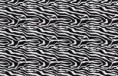 /album/fotogaleria-zebra1/zebra01-jpg/